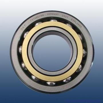 Scheerer 11186-RT Cylindrical Roller Bearings