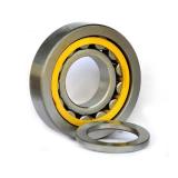 Scheerer RU-5226 Cylindrical Roller Bearings